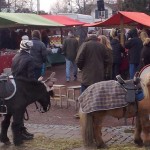 Dalarö Julmarknad 2016